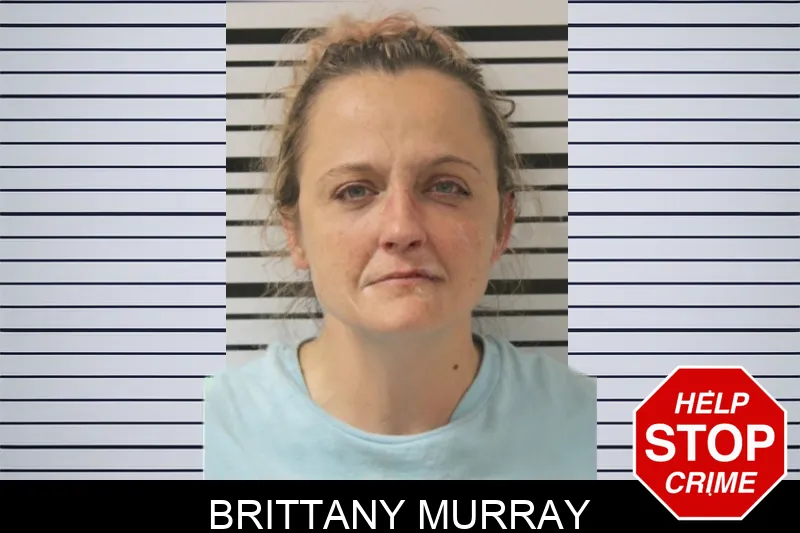Brittany Murray Mugshots