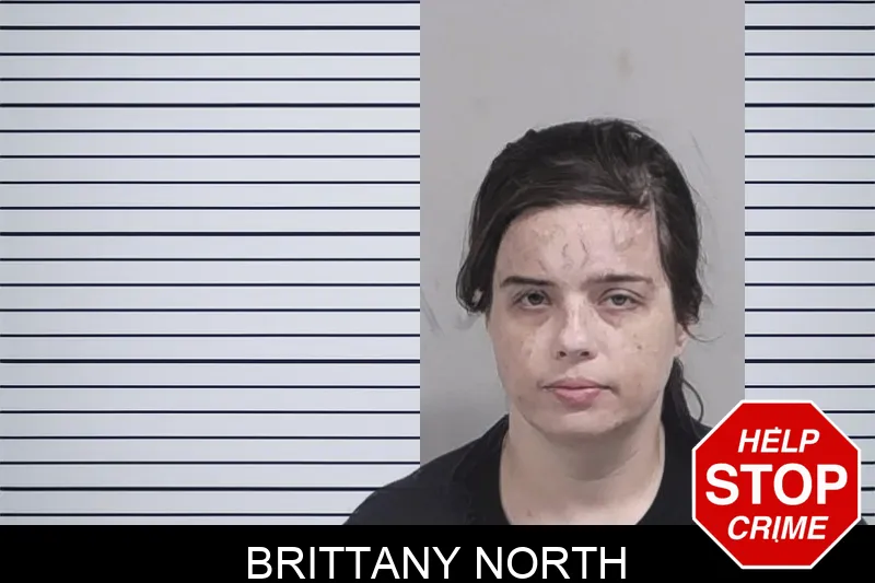 Brittany North Mugshots