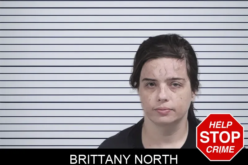 Brittany North Mugshots
