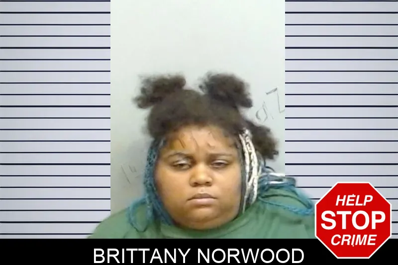 Brittany Norwood Mugshots
