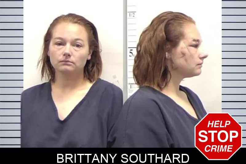 Brittany Southard mugshot – Clarke County , Georgia Brittany Southard mugshot