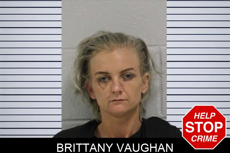 Brittany Vaughan Mugshots