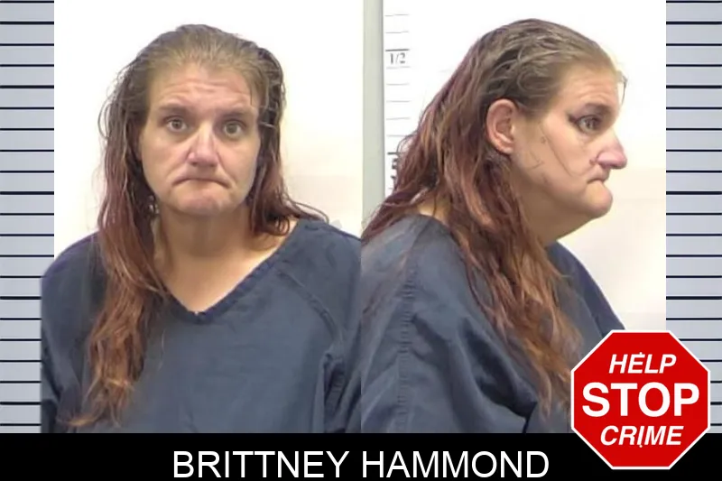 Brittney Hammond Mugshots