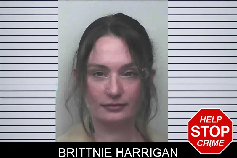 Brittnie Harrigan Mugshots