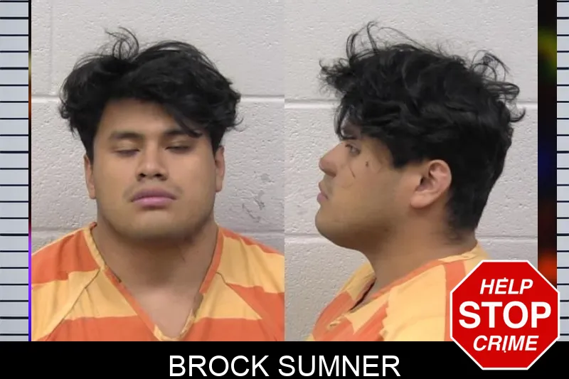 Brock Sumner mugshot