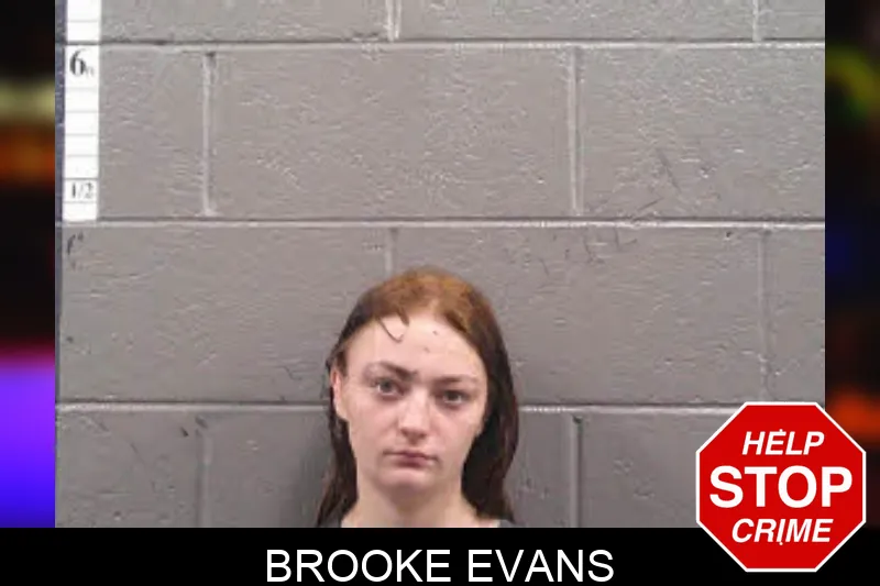 Brooke Evans Mugshots