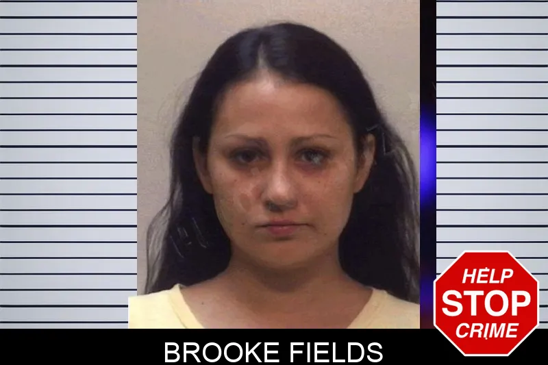 Brooke Fields Mugshots