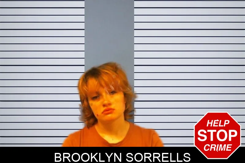 Brooklyn Sorrells mugshot – Troup County , Georgia Brooklyn Sorrells mugshot
