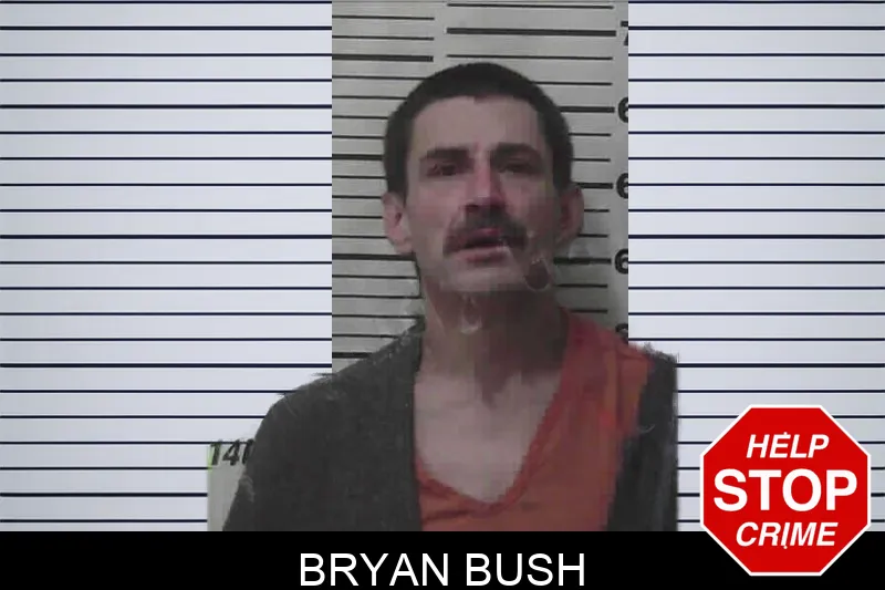 Bryan Bush Mugshots