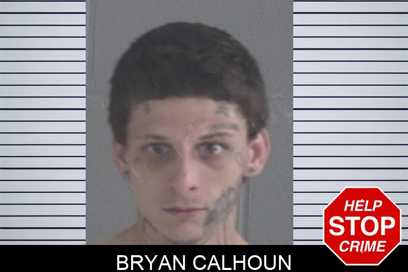 Bryan Calhoun mugshot – Brantley County , Georgia Bryan Calhoun
