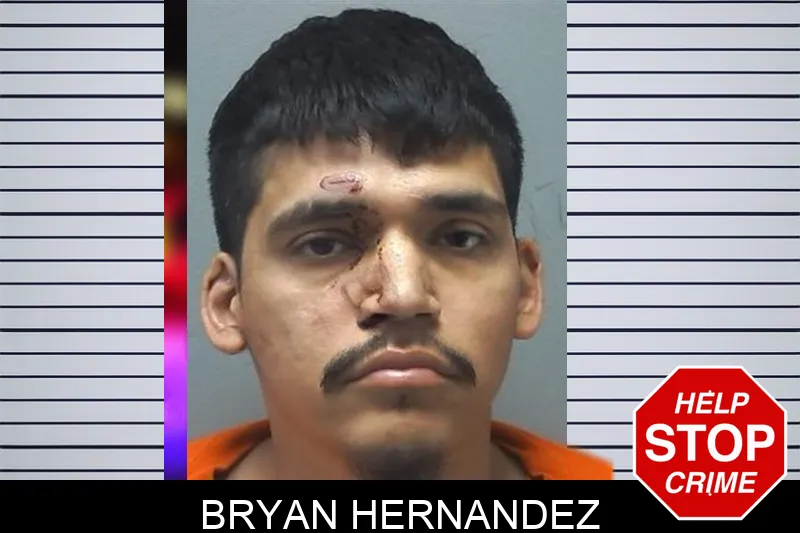 Bryan Hernandez Mugshots