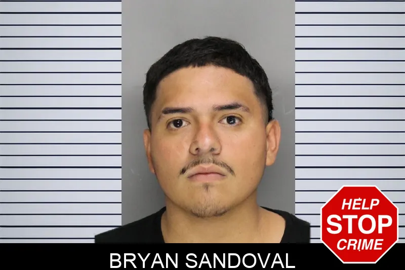 Bryan Sandoval mugshot – Cobb County , Georgia Bryan Sandoval mugshot