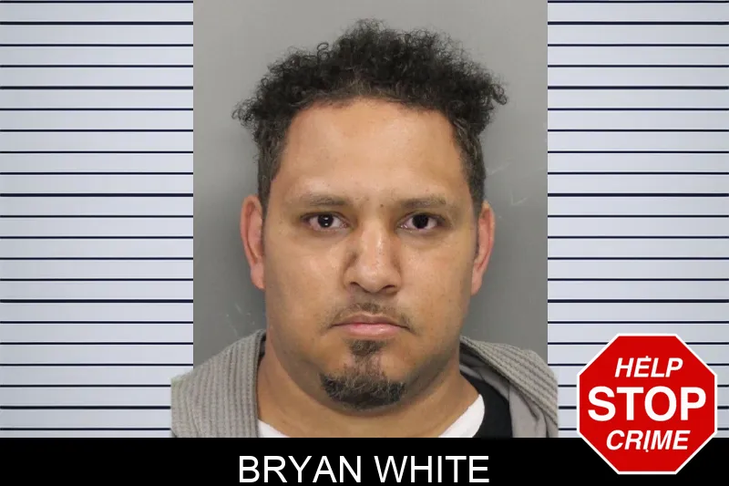 Bryan White mugshot – Cobb County , Georgia Bryan White mugshot