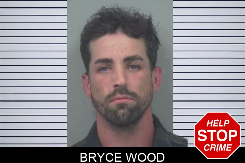 Bryce Wood mugshot