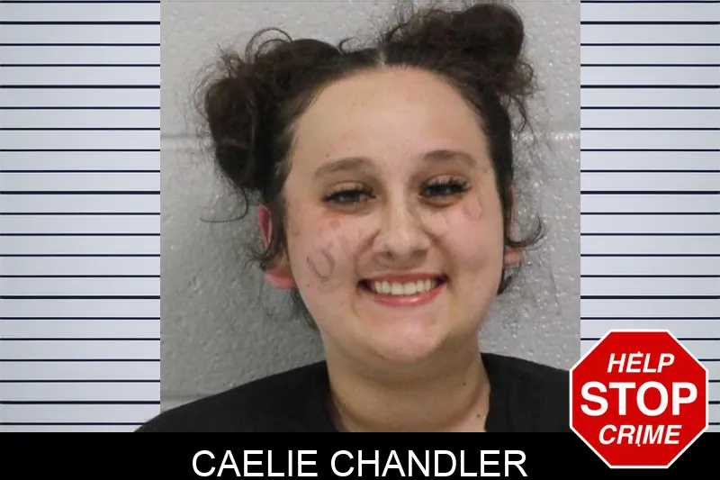 Caelie Chandler mugshot – Carroll County , Georgia Caelie Chandler mugshot