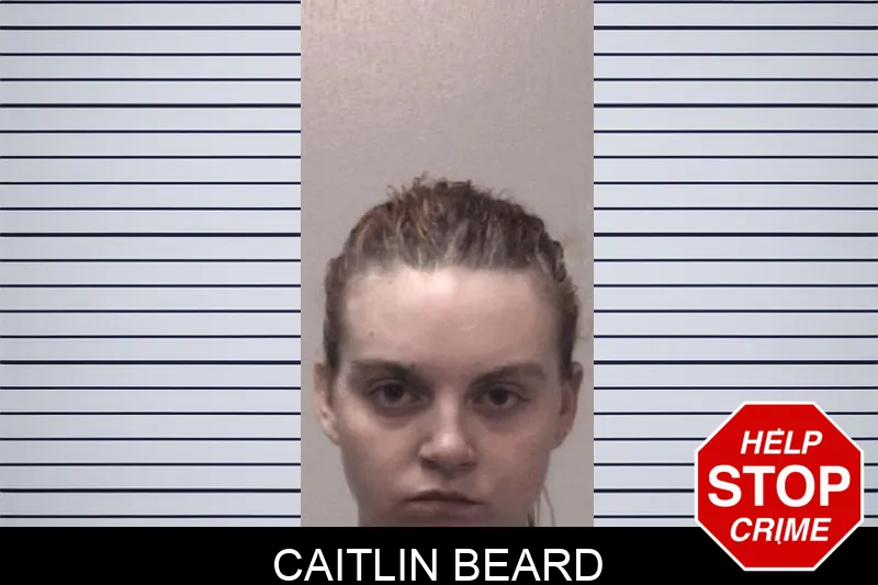 Caitlin Beard Mugshots