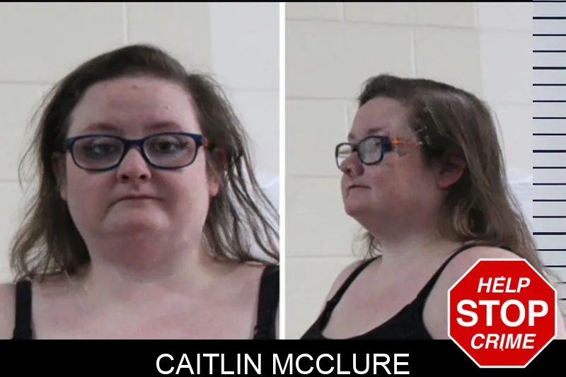 Caitlin McClure mugshot – Houston County , Georgia Caitlin McClure mugshot