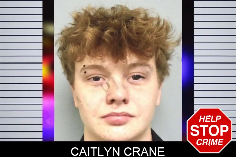 Caitlyn Crane Mugshots