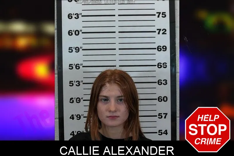 Callie Alexander Mugshots
