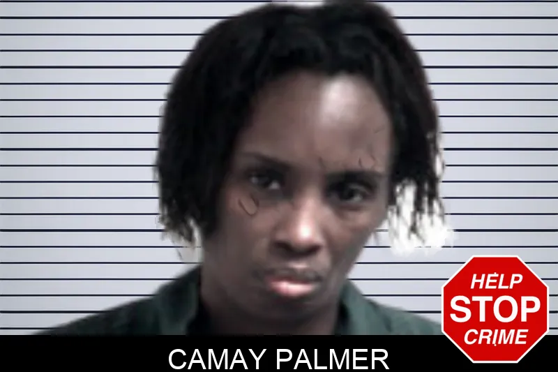 Camay Palmer Mugshots