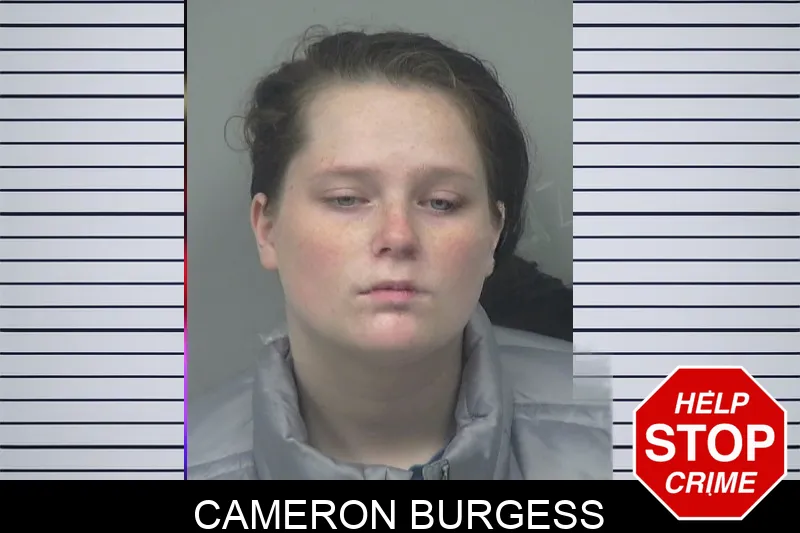 Cameron Burgess mugshot – Gwinnett County , Georgia Cameron Burgess mugshot