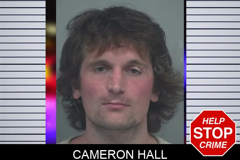 Cameron Hall mugshot – Gwinnett County , Georgia Cameron Hall mugshot