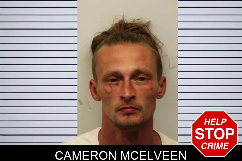 Cameron McElveen Mugshots