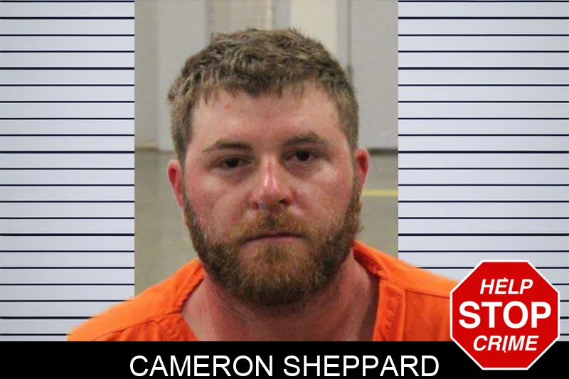 Cameron Sheppard Mugshots