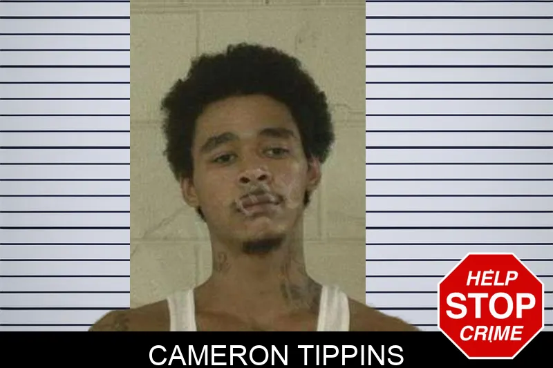 Cameron Tippins Mugshots