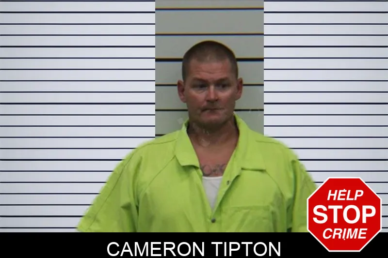 Cameron Tipton Mugshots