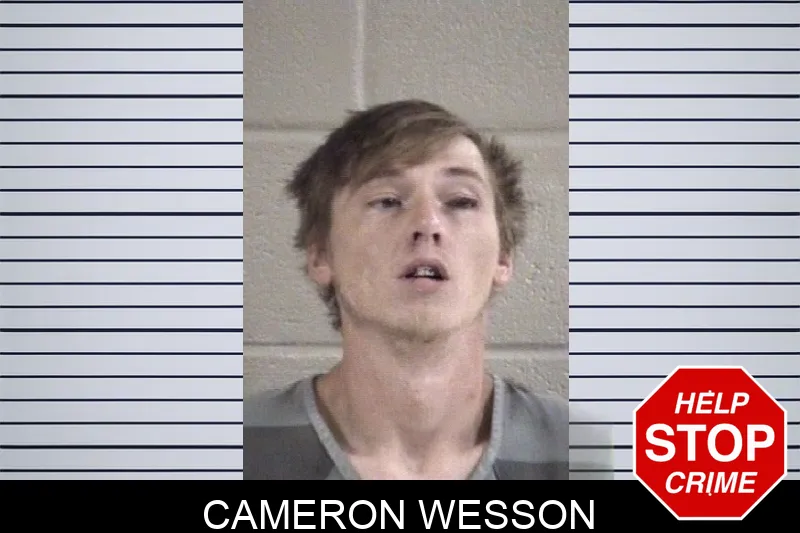 Cameron Wesson Mugshots