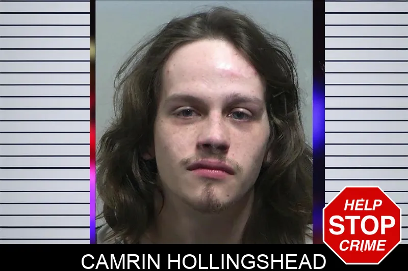 Camrin Hollingshead