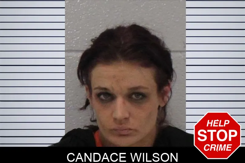 Candace Wilson mugshot – Carroll County , Georgia Candace Wilson mugshot
