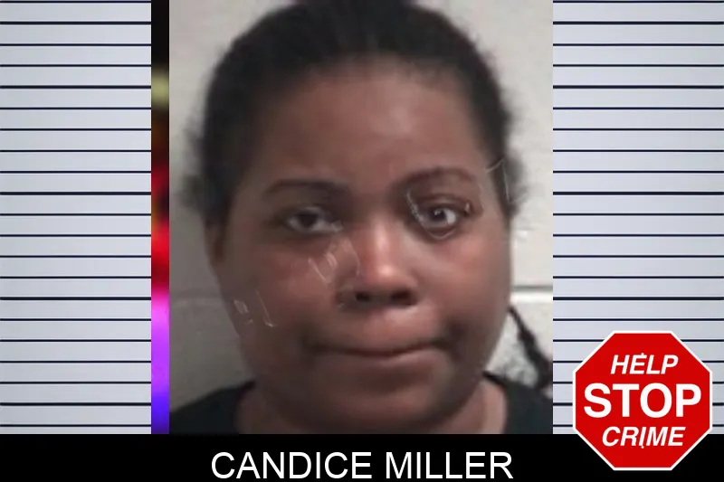 Candice Miller Mugshots
