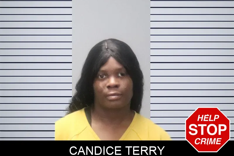 Candice Terry Mugshots