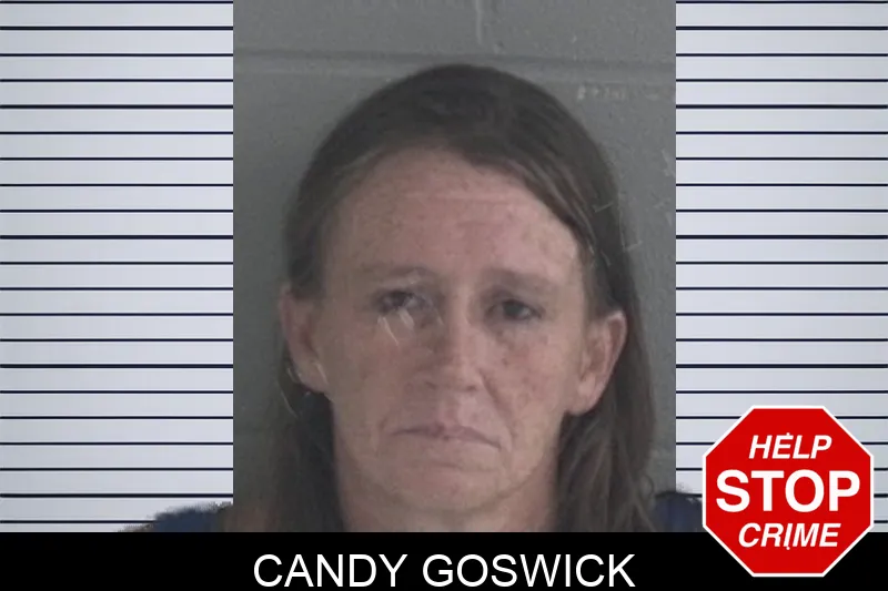 Candy Goswick Mugshots