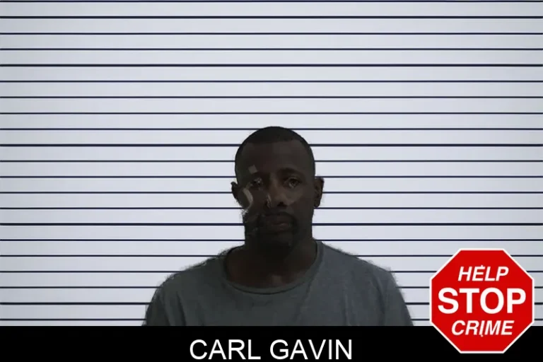 Carl Gavin