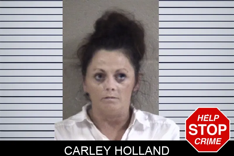 Carley Holland Mugshots