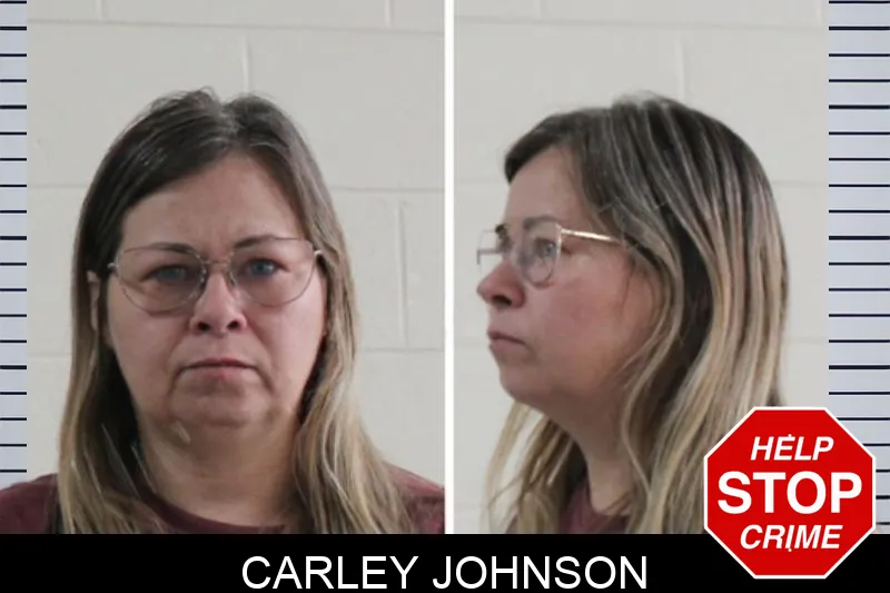 Carley Johnson Mugshots