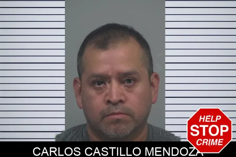 Carlos Castillo Mendoza