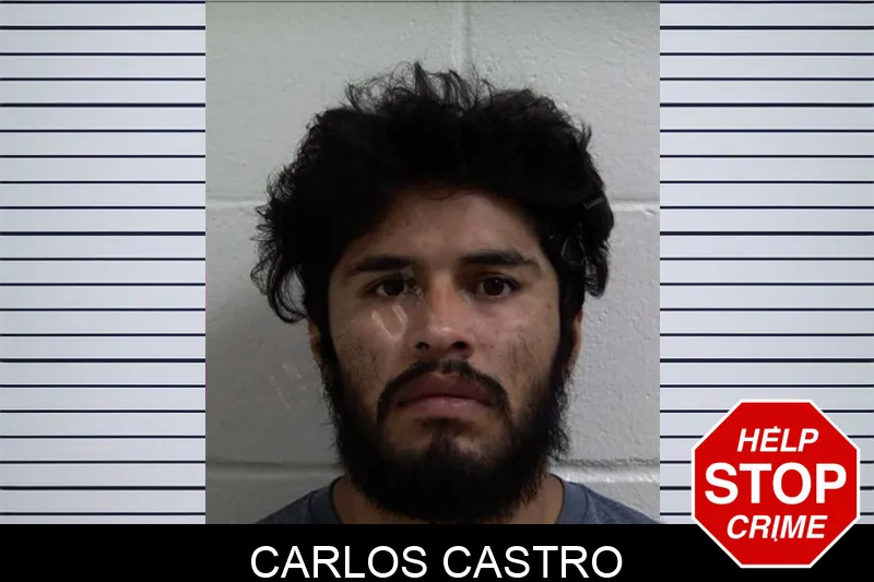 Carlos Castro Mugshots