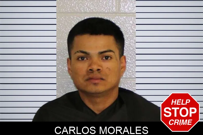 Carlos Morales Mugshots