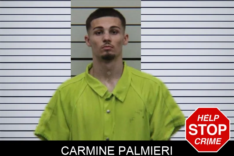 Carmine Palmieri Mugshots