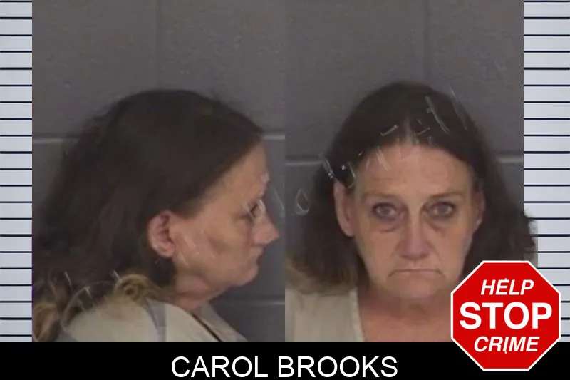 Carol Brooks Mugshots