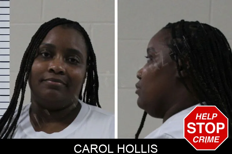 Carol Hollis mugshot