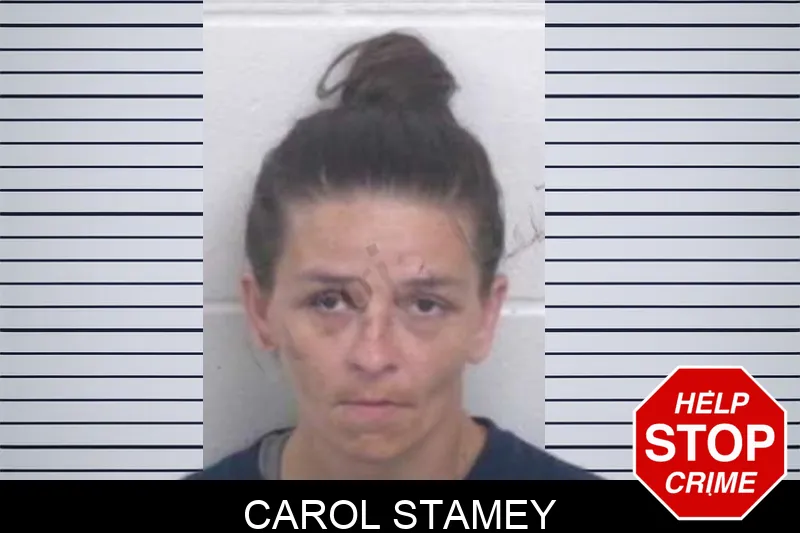 Carol Stamey Mugshots
