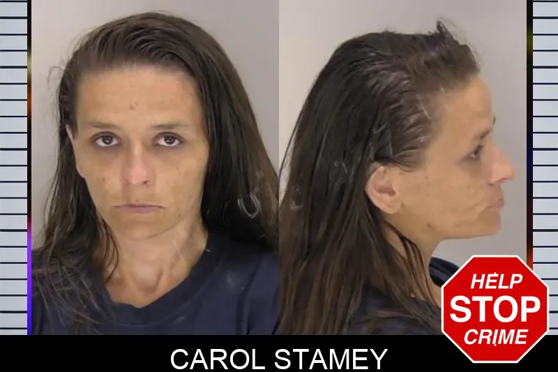 Carol Stamey Mugshots