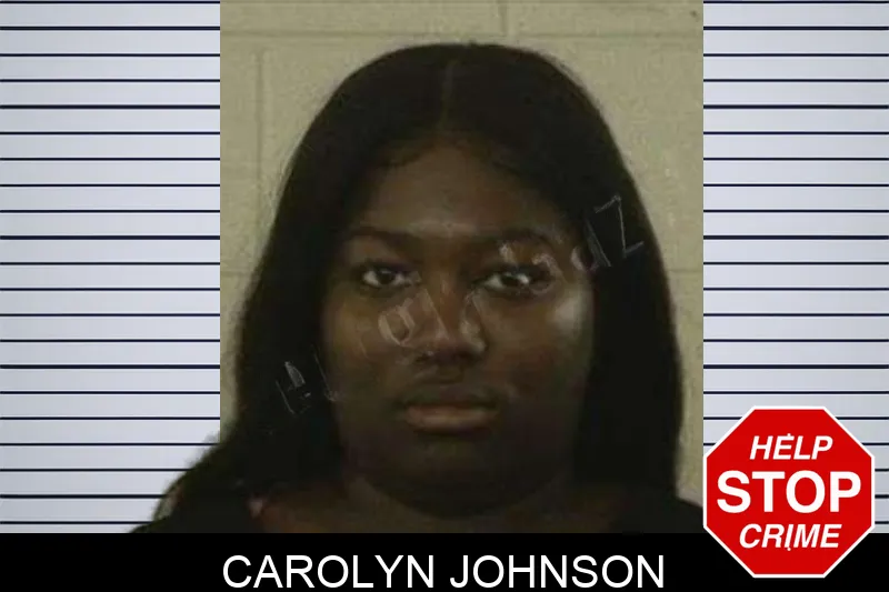 Carolyn Johnson mugshot – Liberty County , Georgia Carolyn Johnson mugshot