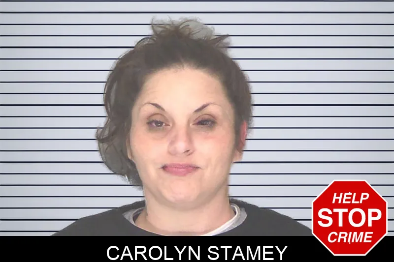 Carolyn Stamey mugshot – Douglas County , Georgia Carolyn Stamey mugshot