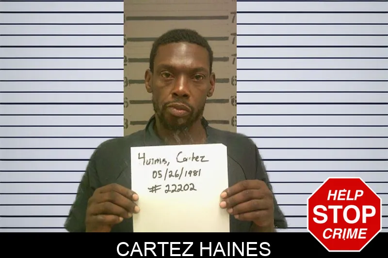 Cartez Haines mugshot – Dougherty County , Georgia Cartez Haines mugshot